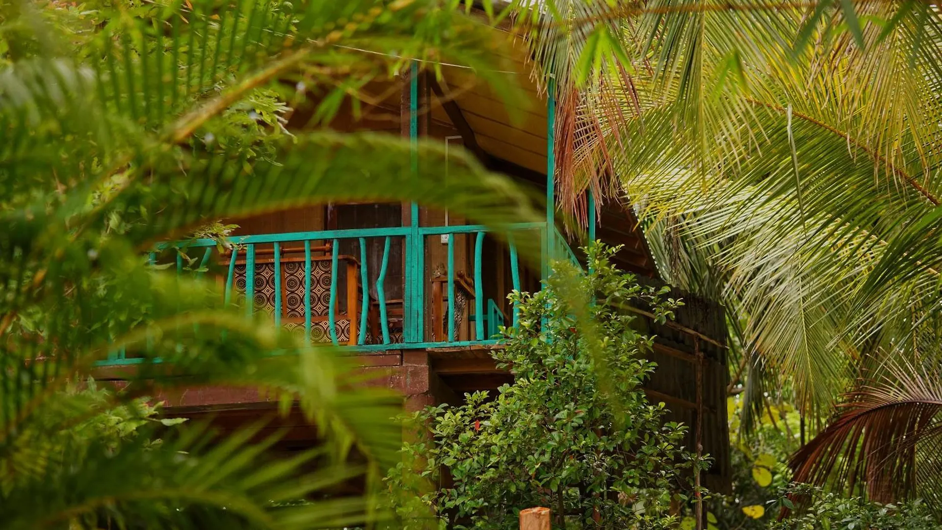 Passion Ray Villa & Tree Hut Sigiriya Pansiyon